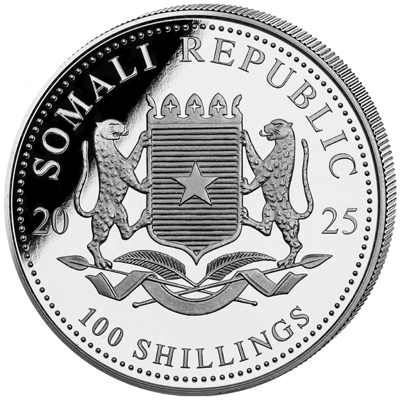 Somalië zilveren munt Afrikaans Wildlife Luipaard 2025 Verguld 1 ounce Verzamelmunten