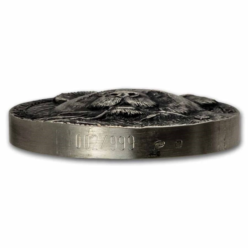 Côte d'Ivoire (Ivory Coast): silver coin Panda 2025 5 oz Collectible coins