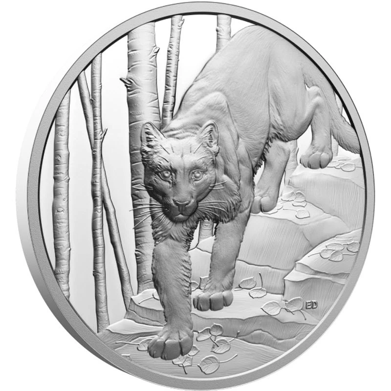 Canada: zilveren munt Cougar 2024 Gepolijste plaat 1 ounce Verzamelmunten