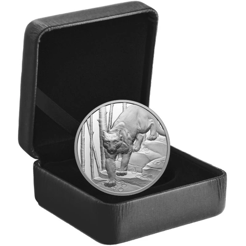 Canada: zilveren munt Cougar 2024 Gepolijste plaat 1 ounce Verzamelmunten