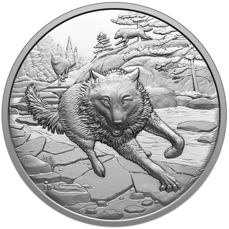Canada: zilveren munt Grijze Wolf 2025 Gepolijste plaat 1 ounce Verzamelmunten