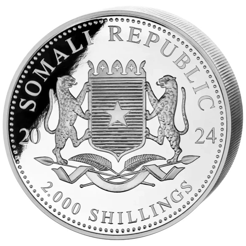 Somalië zilveren munt Afrikaans wild luipaard 2024 1000 g Verzamelmunten