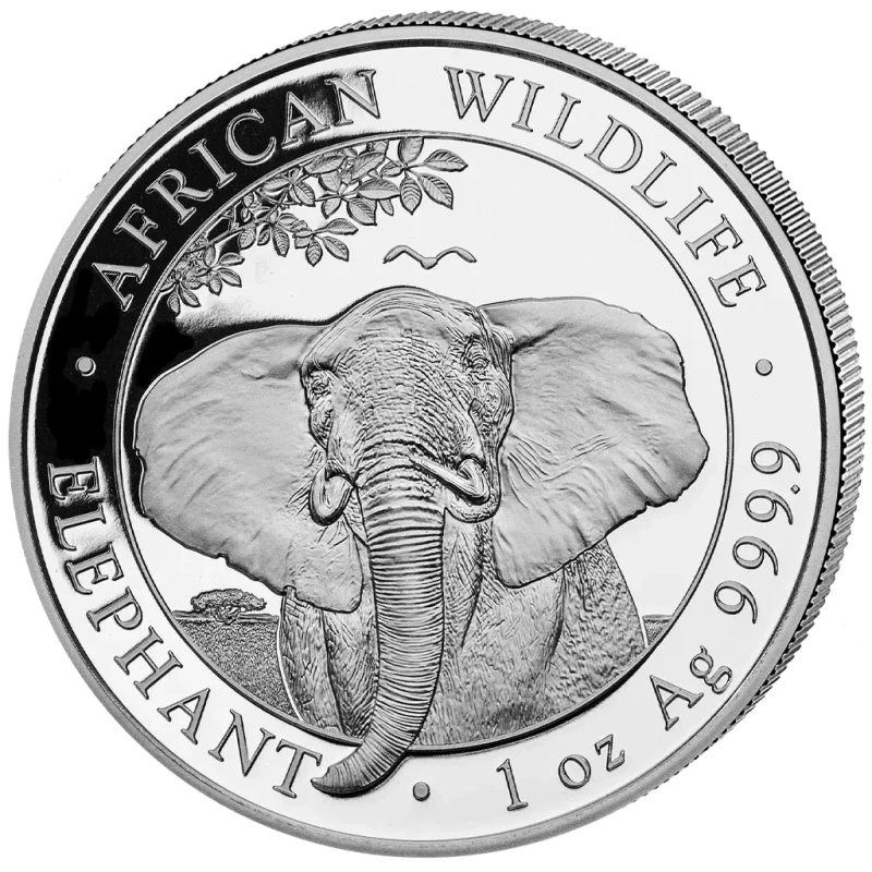 Somalië zilveren investeringmunt Afrikaanse wilde dieren olifant 2021 1 ounce Beleggingsmunten
