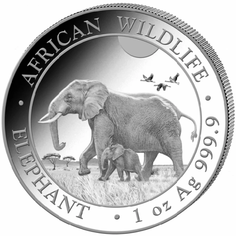 Somalië zilveren investeringmunt Afrikaanse wilde dieren olifant 2022 1 ounce Beleggingsmunten