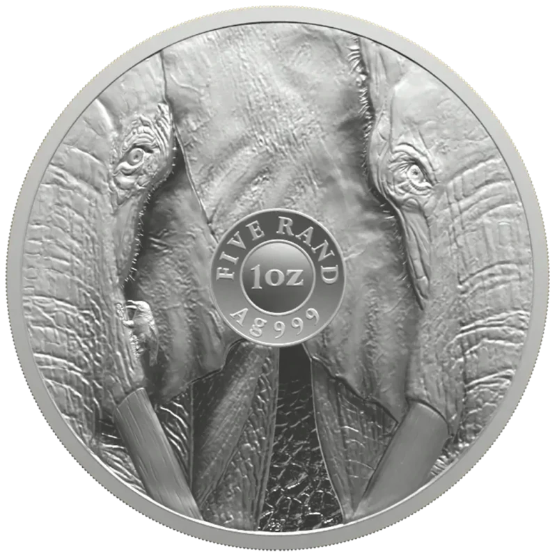 Zuid-Afrika zilveren munt Olifant 2024 1 ounce Verzamelmunten